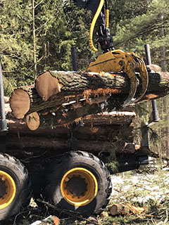 Custom Land Clearing West Michigan