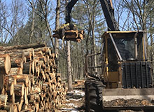 Muskegon Habitat Management