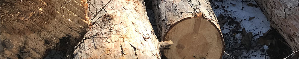 Land Clearing in West Michigan