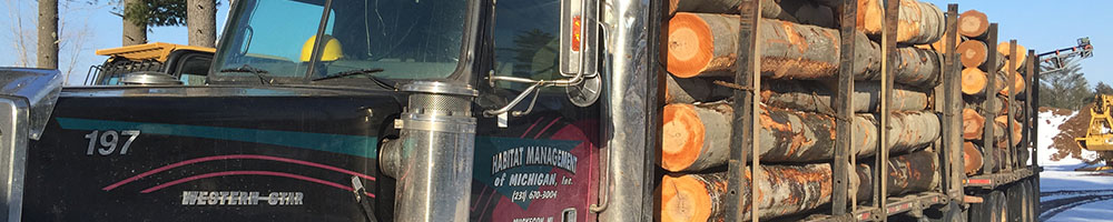 Land Improvement in West Michigan