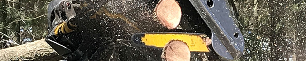 Buy Standing Timber in West Michigan